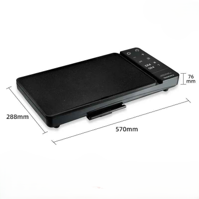 differentes dimensions plancha electrique