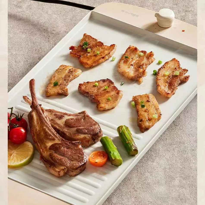 plancha electrique grill garni nourriture